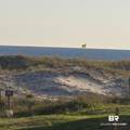 400 Plantation Road - Photo 29