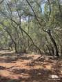 9847 County Road 99 - Photo 2
