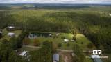 25151 Goat Cooper Road - Photo 11