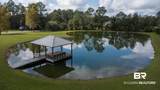 25151 Goat Cooper Road - Photo 8