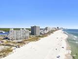 24522 Perdido Beach Boulevard - Photo 9