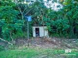 27125 County Road 54 - Photo 9