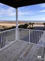 29101 Perdido Beach Boulevard - Photo 3