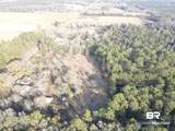 29640 Us Highway 98 - Photo 14