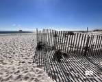 1129 Beach Boulevard - Photo 38