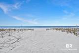 28900 Perdido Beach Boulevard - Photo 60