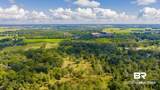 17333 County Road 55 - Photo 44