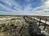 7134 Blue Heron Cove - Photo 16
