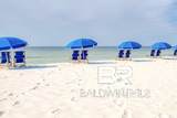 28813 Perdido Beach Boulevard - Photo 28