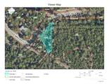 805 Mossy Oak Drive - Photo 2