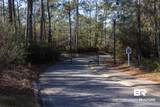 805 Mossy Oak Drive - Photo 5