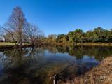 25856 County Road 55 - Photo 47