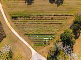 12562 Mary Ann Beach Road - Photo 11