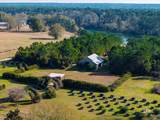 12562 Mary Ann Beach Road - Photo 12