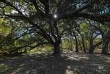 12562 Mary Ann Beach Road - Photo 18
