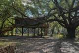12562 Mary Ann Beach Road - Photo 22