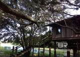 12562 Mary Ann Beach Road - Photo 23