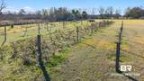 16475 County Road 55 - Photo 42