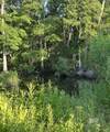 0 Nolte Creek Drive - Photo 3