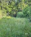 0 Nolte Creek Drive - Photo 4
