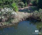 0 Nolte Creek Drive - Photo 8