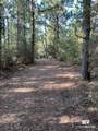 0 Barnhill Farm Road - Photo 6