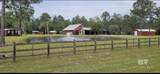 27860 Goat Cooper Road - Photo 2