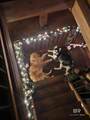 27860 Goat Cooper Road - Photo 20