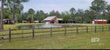 27860 Goat Cooper Road - Photo 39