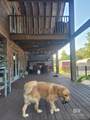 27860 Goat Cooper Road - Photo 40
