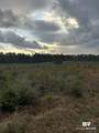 0 Us Highway 29 - Photo 2