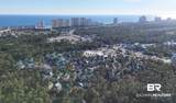 13555 Perdido Key Drive - Photo 53