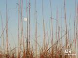 1380 State Highway 180 - Photo 35