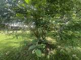 24545 Peavy Lane - Photo 36
