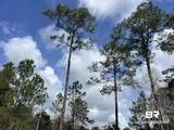 0 Bridgeport Drive - Photo 12