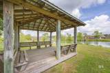 27331 Brightway Crossing - Photo 46