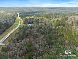 33521 Jimmy Faulkner Drive - Photo 11
