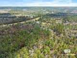 33521 Jimmy Faulkner Drive - Photo 13