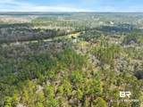 33521 Jimmy Faulkner Drive - Photo 14
