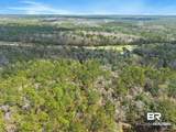 33521 Jimmy Faulkner Drive - Photo 15