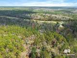 33521 Jimmy Faulkner Drive - Photo 16
