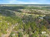 33521 Jimmy Faulkner Drive - Photo 17