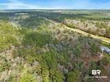 33521 Jimmy Faulkner Drive - Photo 19