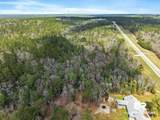 33521 Jimmy Faulkner Drive - Photo 20