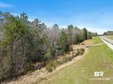 33521 Jimmy Faulkner Drive - Photo 22