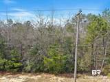 33521 Jimmy Faulkner Drive - Photo 23