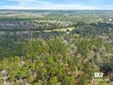 33521 Jimmy Faulkner Drive - Photo 9