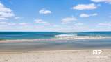 27008 Perdido Beach Boulevard - Photo 18
