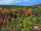 0 County Road 79 - Photo 2