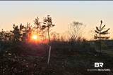 0 County Road 79 - Photo 25